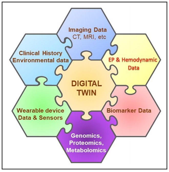 数字孪生技术解锁心脏奥秘 Circulation重磅研究引领心律失常治疗新纪元